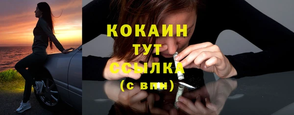 тгк Богданович