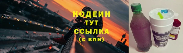 тгк Богданович
