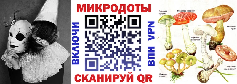 Псилоцибиновые грибы Psilocybe Велиж