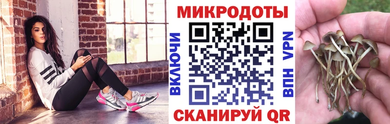 blacksprut как войти  наркошоп  Велиж  Псилоцибиновые грибы Cubensis 